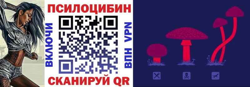 Псилоцибиновые грибы Psilocybe  даркнет сайт  Сасово 